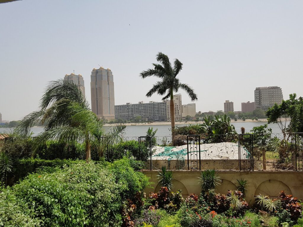 أو إم دي مصر
