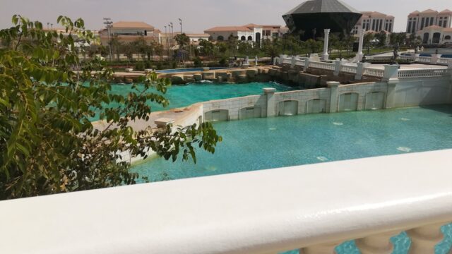 Google Photo 3