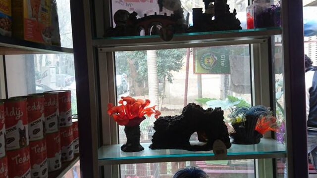 Google Photo 9