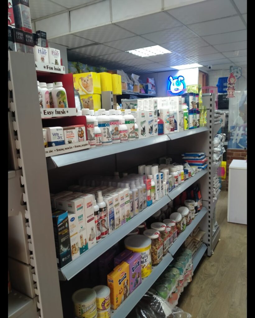 Google Photo 2