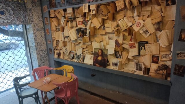 Google Photo 8