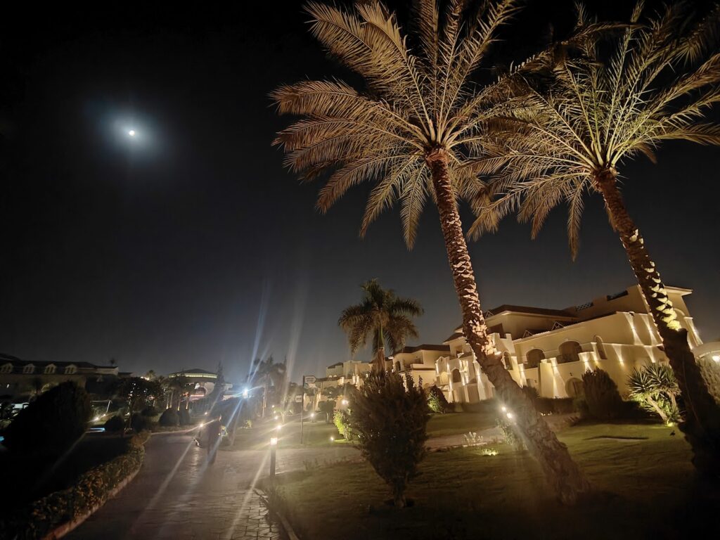 Google Photo 6