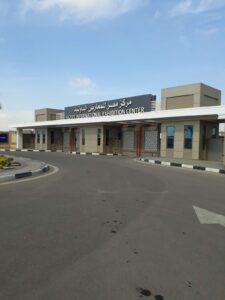 الصورة 7