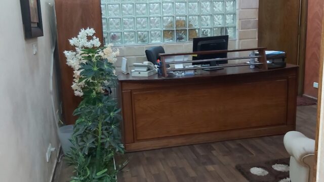 Google Photo 2