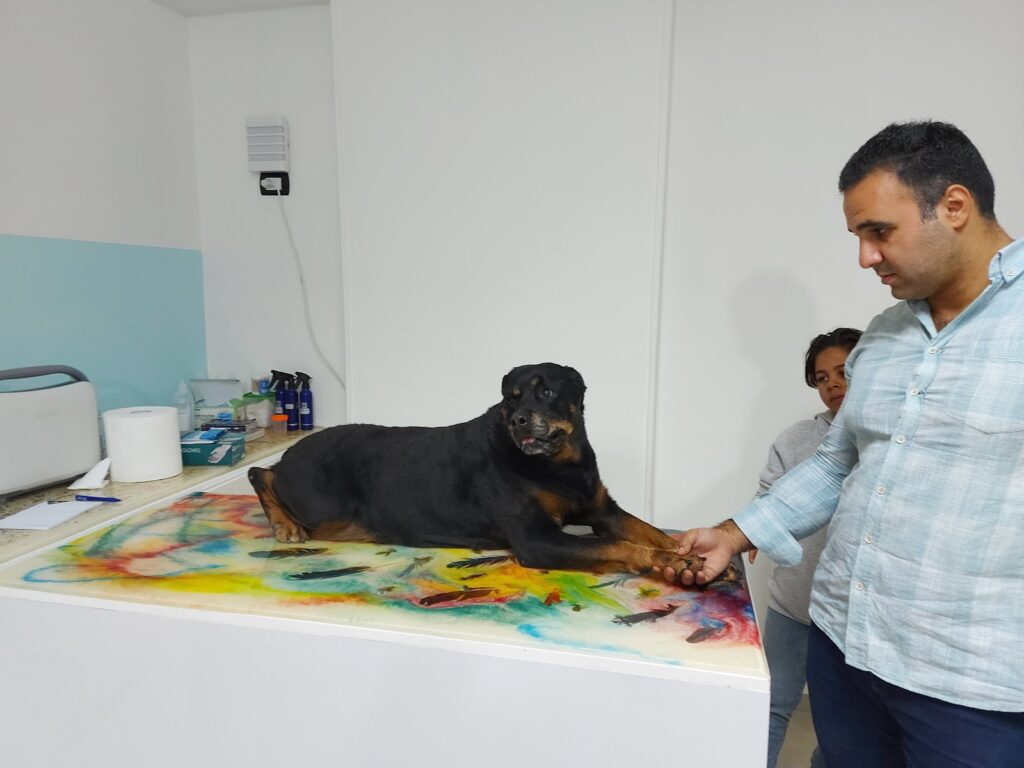 Google Photo 5