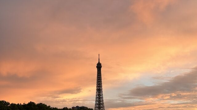 Google Photo 5
