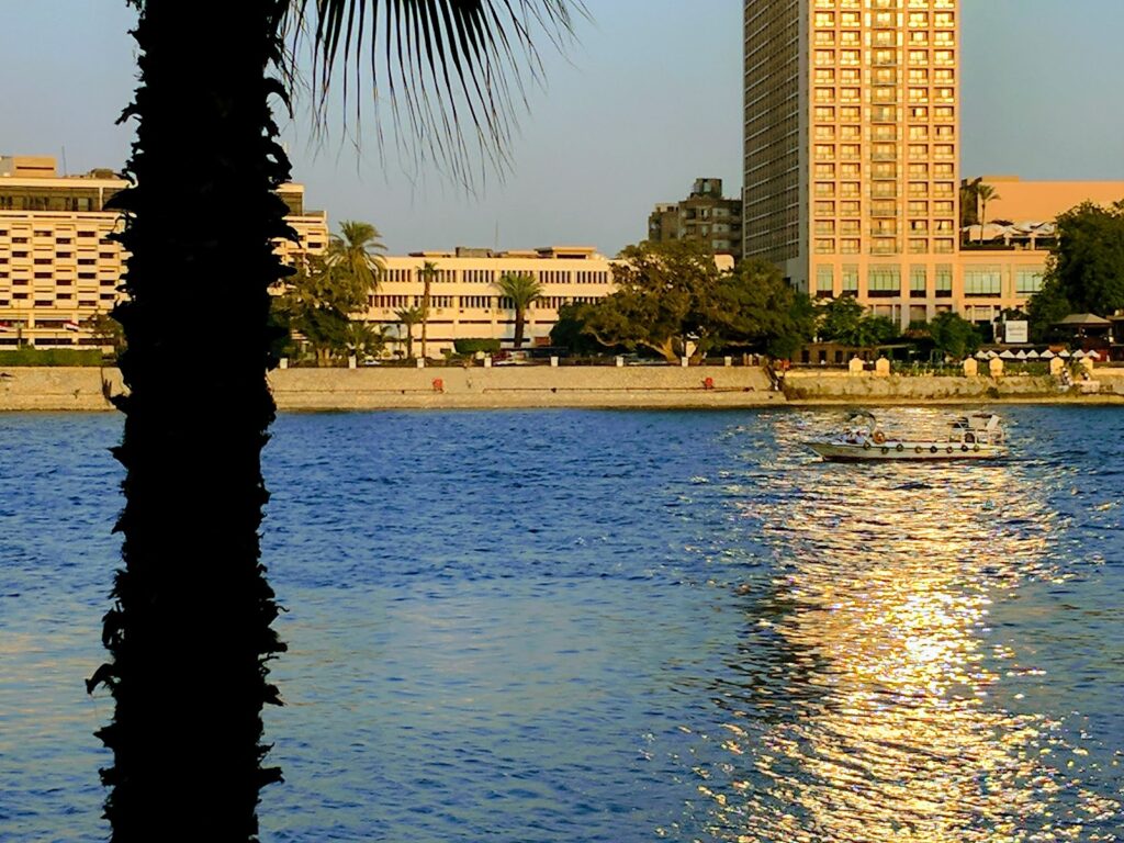 Google Photo 2
