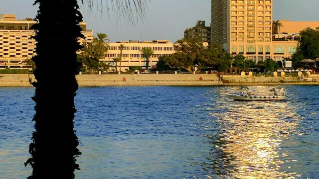 Google Photo 2