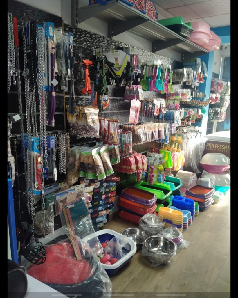 Google Photo 5