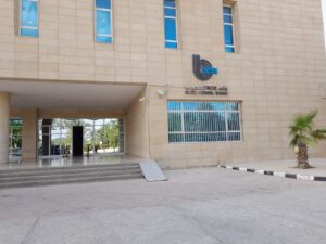 الصورة 7