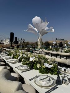 الصورة 7