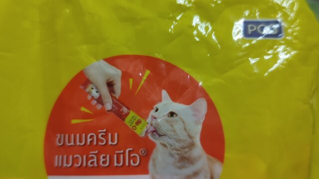 Google Photo 4