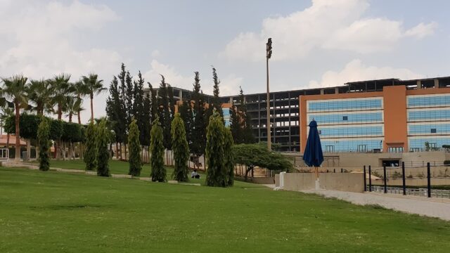 Google Photo 10