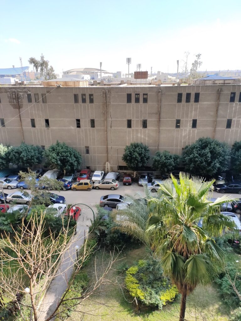 المسوق على سبيل المثال
