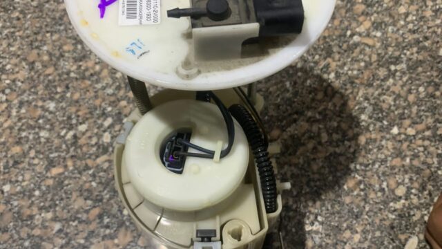 Google Photo 9
