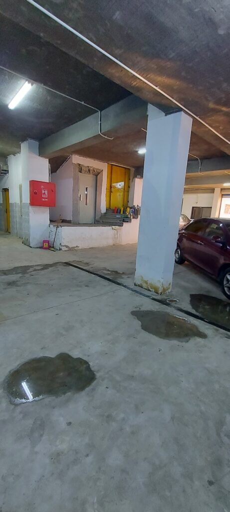 Google Photo 3