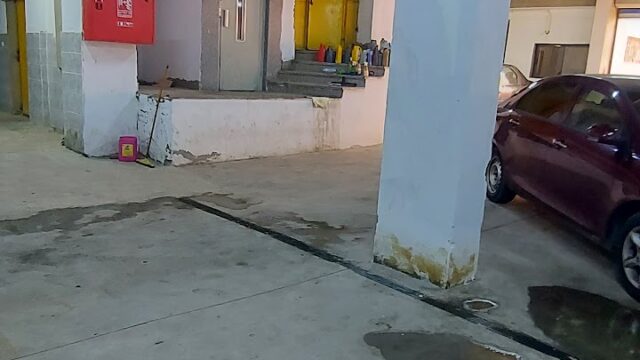 Google Photo 3