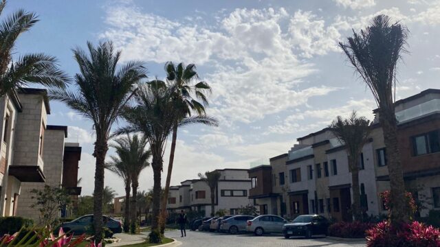 Google Photo 7