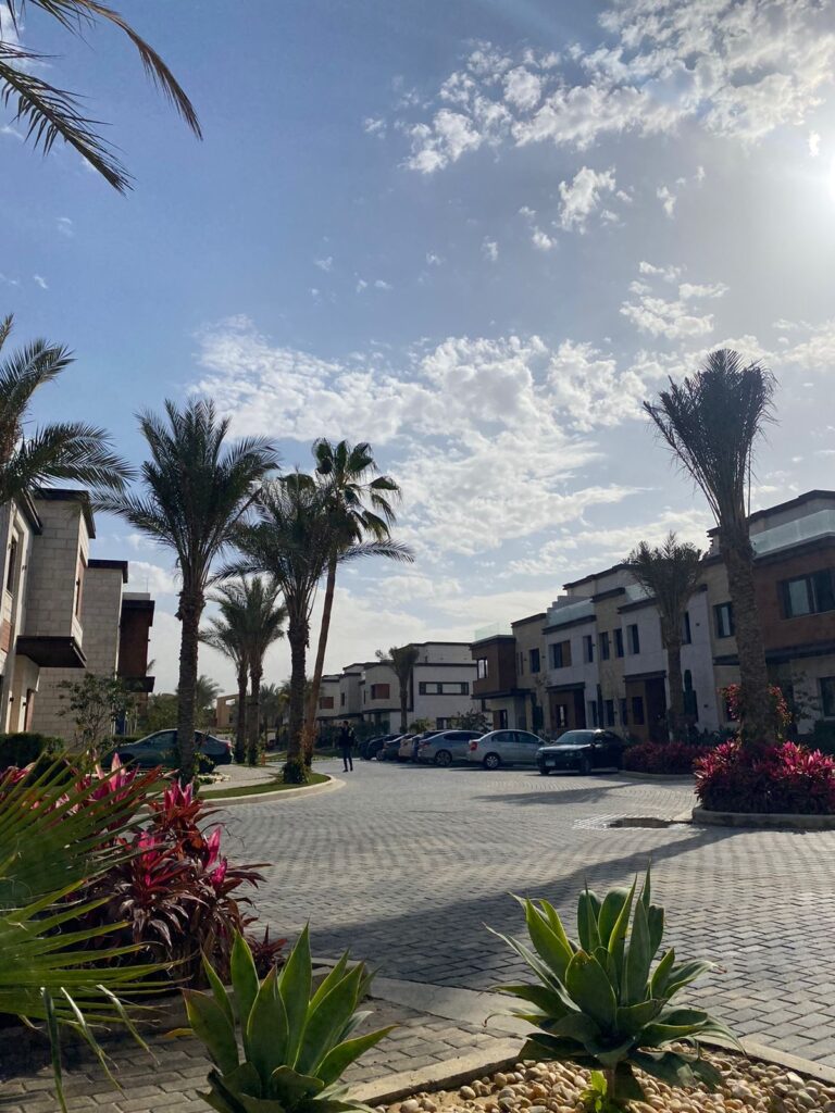 Google Photo 7