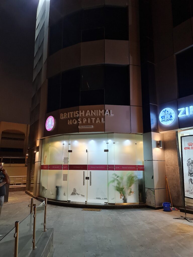 Google Photo 6
