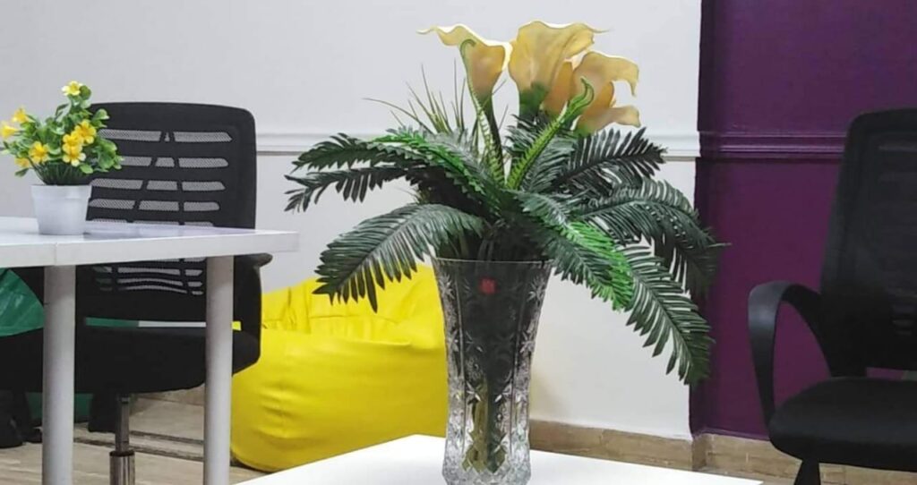 Google Photo 2