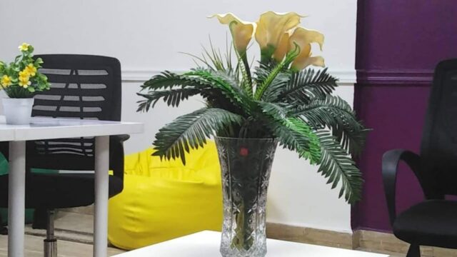 Google Photo 2