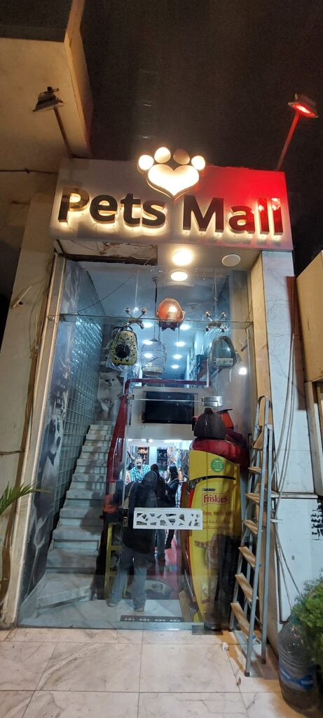 Google Photo 2