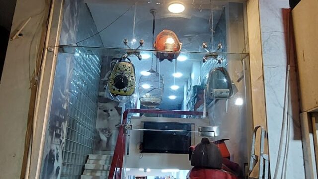 Google Photo 2