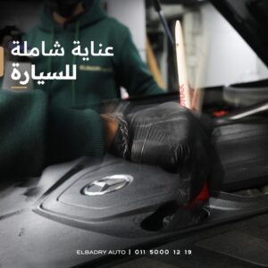الصورة 8