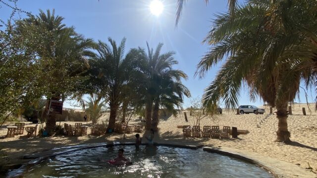 Google Photo 10