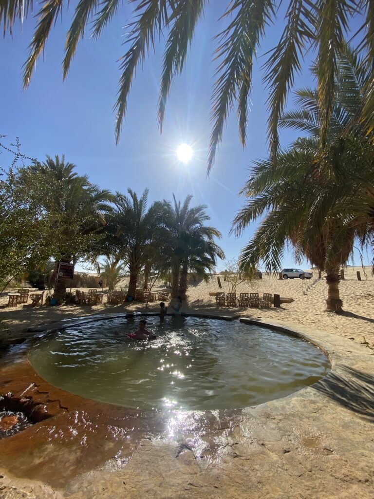 Google Photo 10