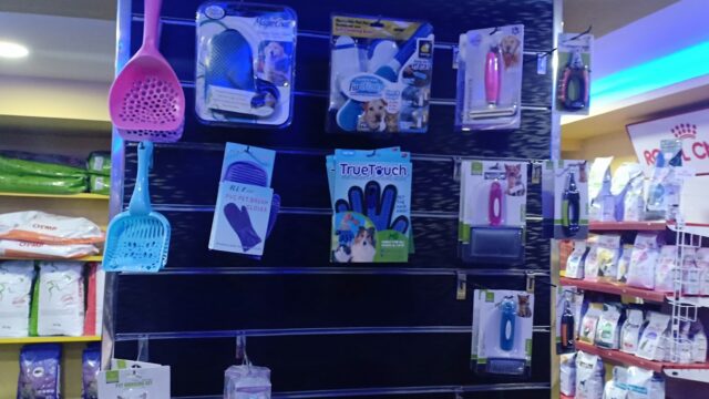 Google Photo 7