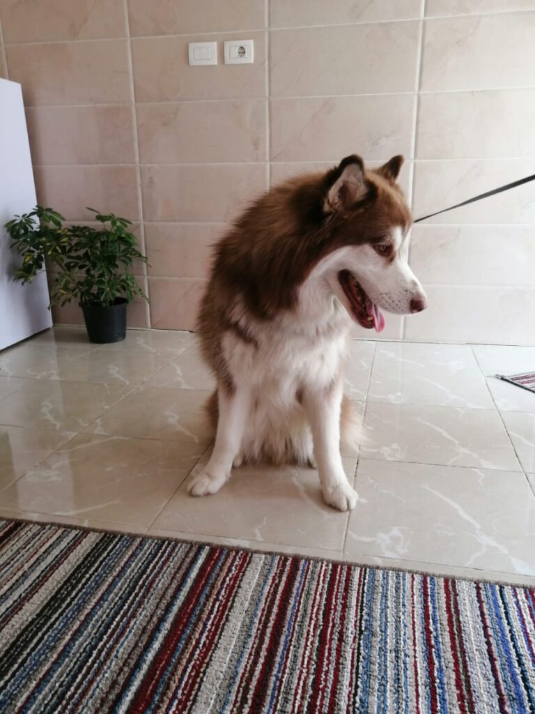 Google Photo 3
