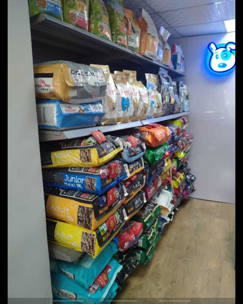 Google Photo 9