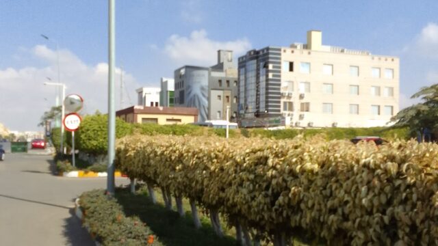 Google Photo 2