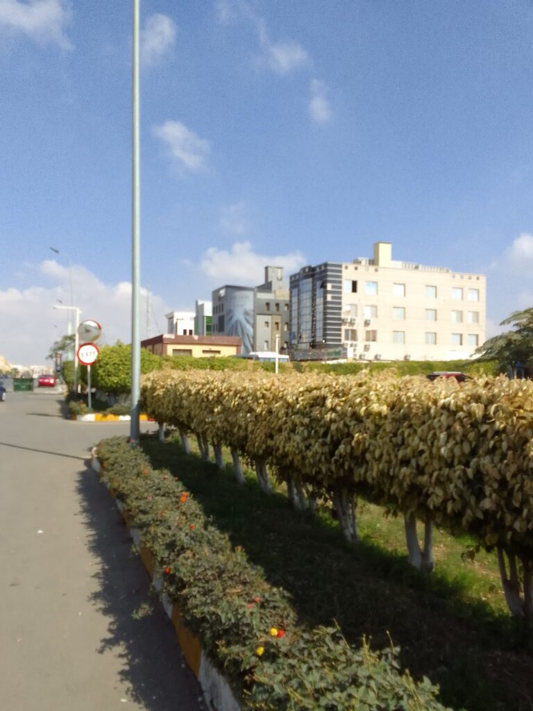 Google Photo 2