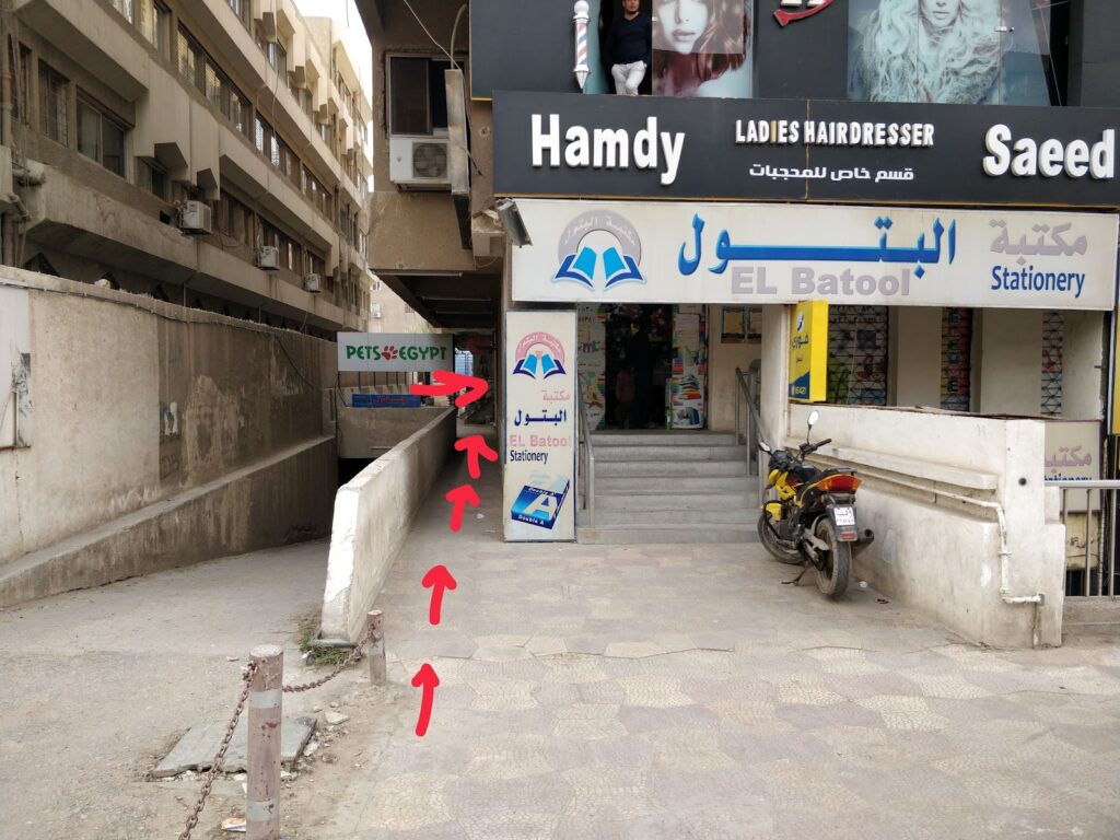 Google Photo 1