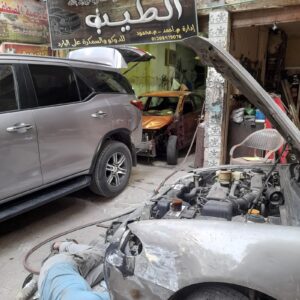 الصورة 1