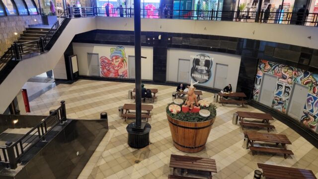 Google Photo 4