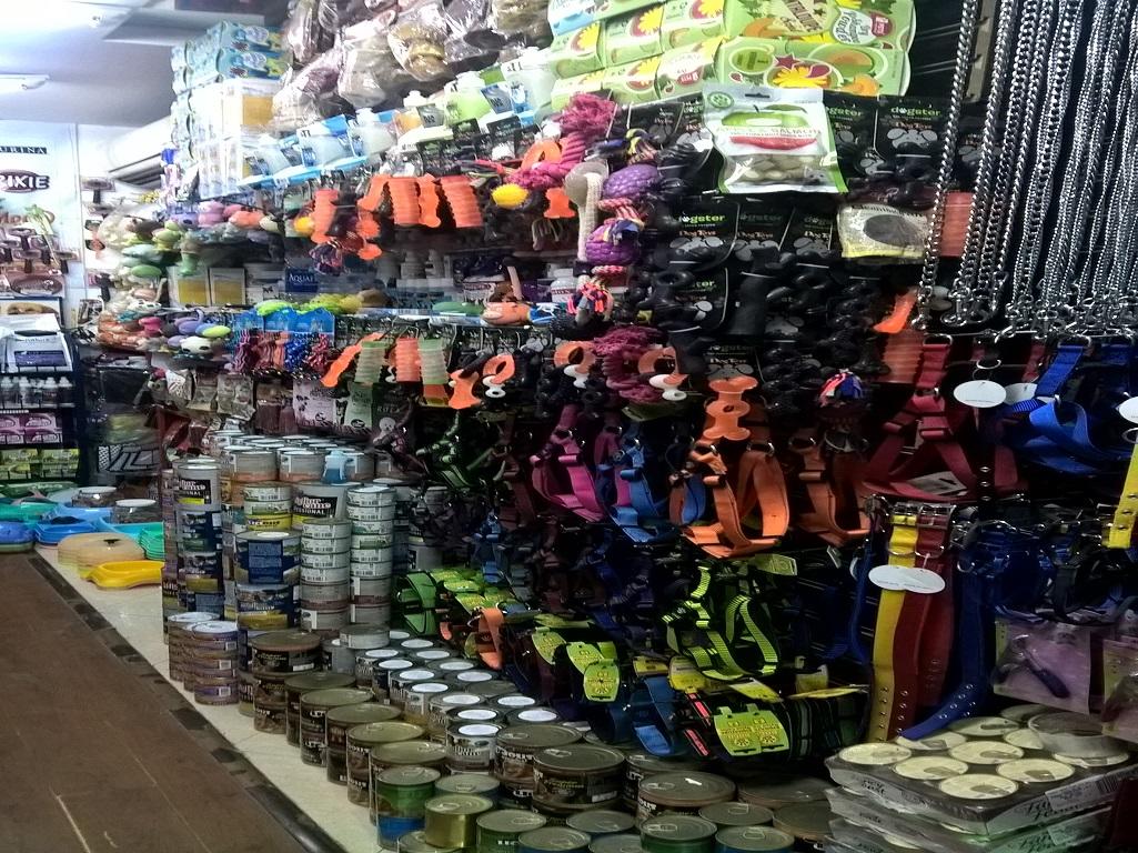 Google Photo 2