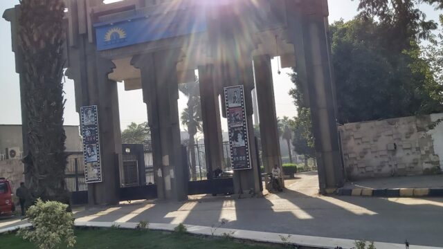 Google Photo 1