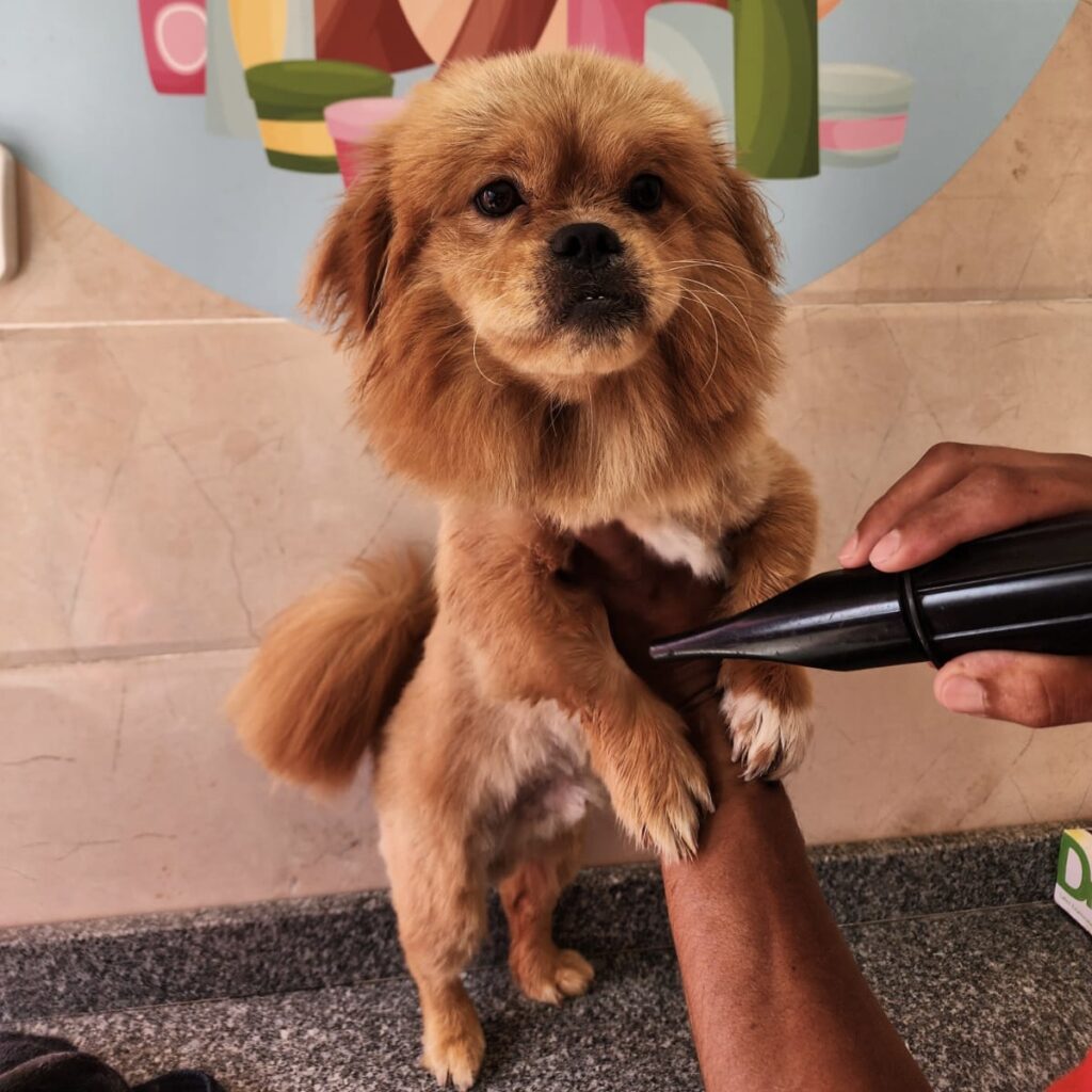 Google Photo 8