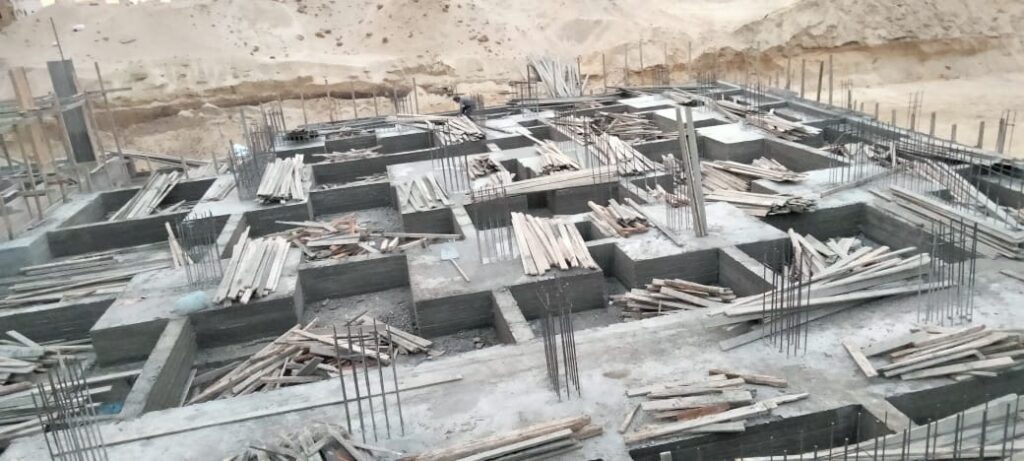 النرجس الجديده