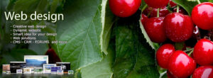 الصورة 2