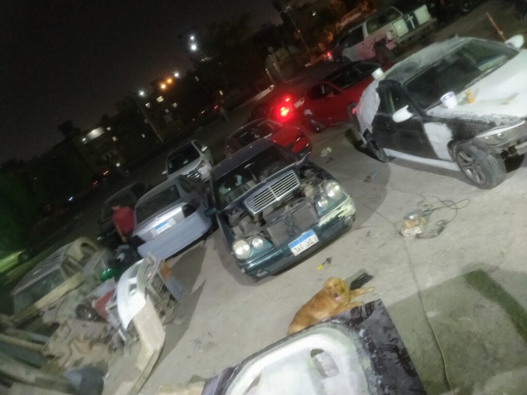 Google Photo 7