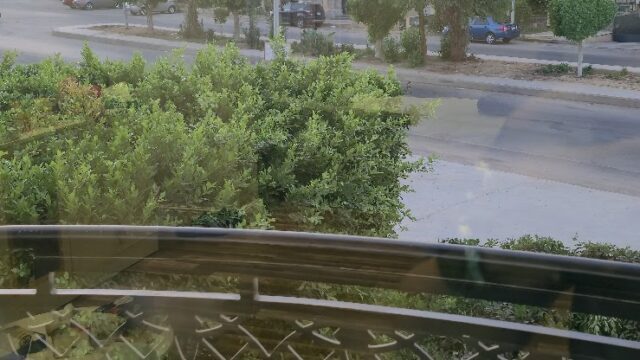 Google Photo 5
