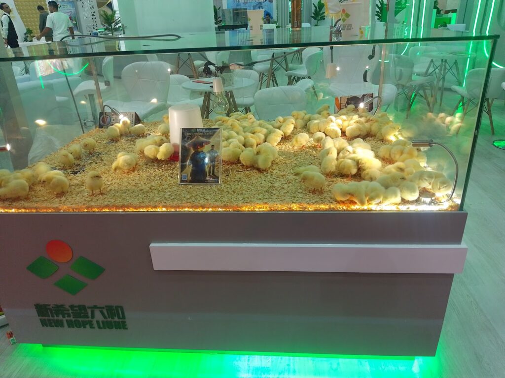 Google Photo 10