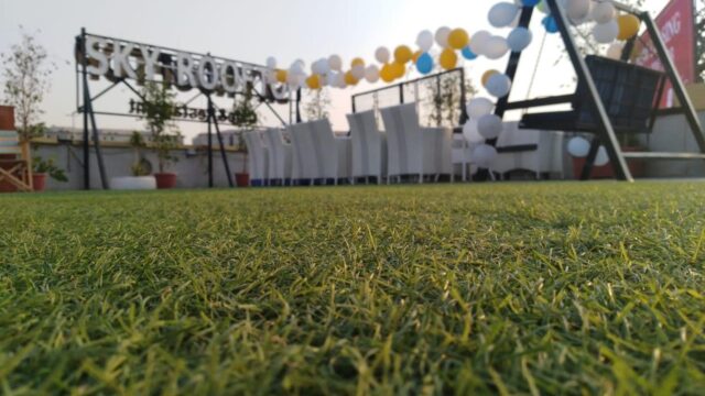 Google Photo 9