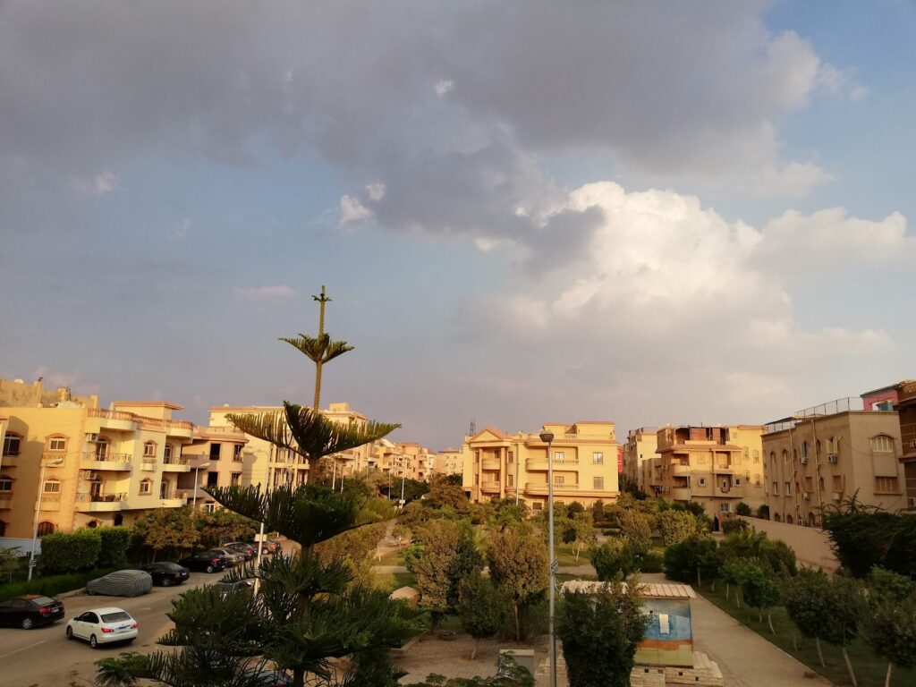 Google Photo 6