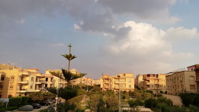 Google Photo 6